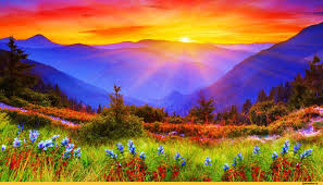 customer photo of GWA Kate customer photo of GWA Kate