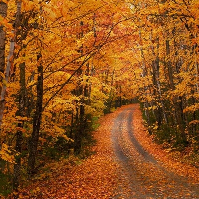 customer photo of GWA Kate customer photo of GWA Kate