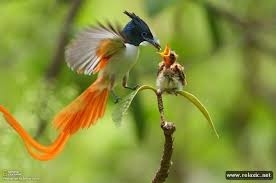 customer photo of GWA Kate customer photo of GWA Kate